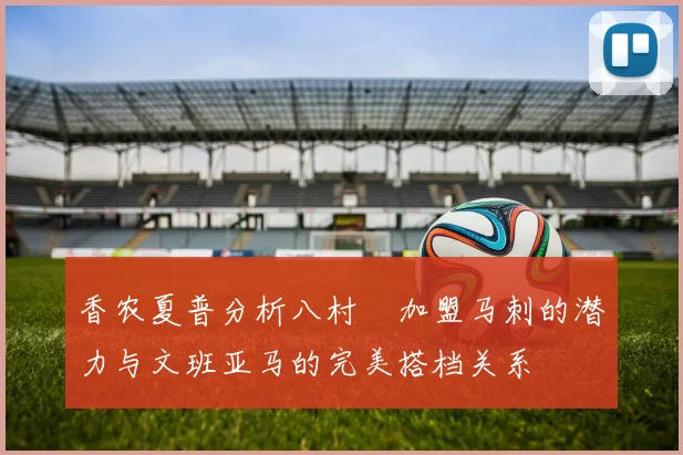 香农夏普分析八村塁加盟马刺的潜力与文班亚马的完美搭档关系