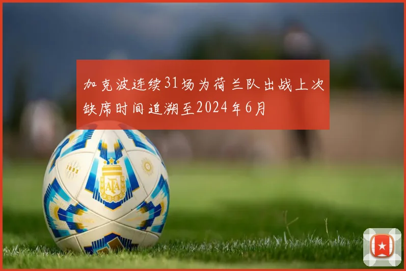 加克波连续31场为荷兰队出战上次缺席时间追溯至2024年6月