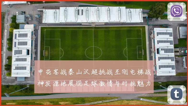 申花客战泰山汉超挑战王刚电梯战神发源地展现足球激情与对抗魅力