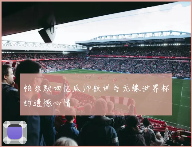 帕尔默回忆瓜帅教训与无缘世界杯的遗憾心情